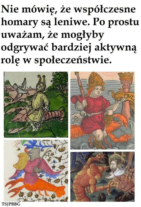 Małpy w społeczeństwie