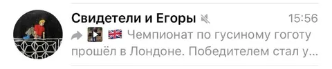 Чемпионат по гусиному гоготу