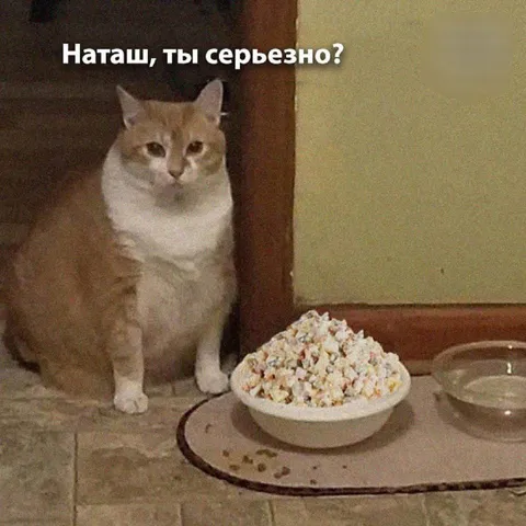 Наташ, ты серьезно?