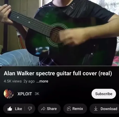 Alan Walker Spectre Guitar Cover