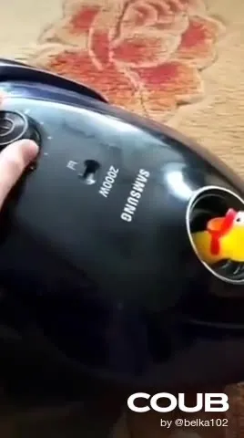 Курица в пылесосе