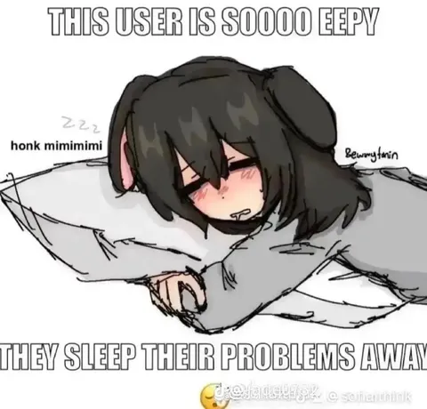 Eepy User Sleeps Problems Away