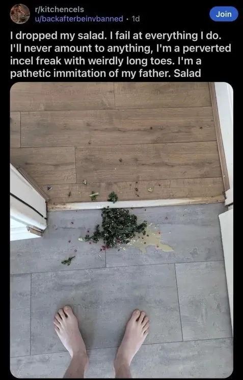 I Dropped My Salad