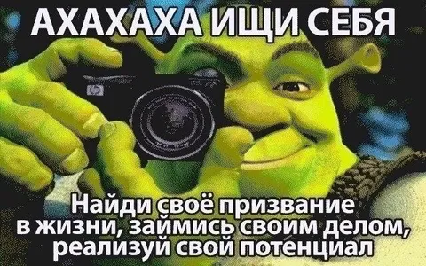 Шрек ищет своё призвание