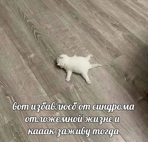 Избавление от отложенной жизни