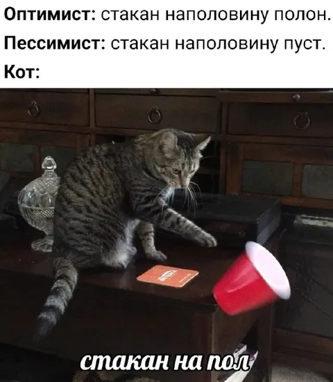 Кот и стакан на пол