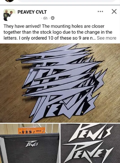 Peavey Logo Mounting Hole Fail