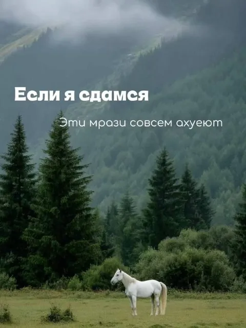 Если я сдамся — эти мрази охуеют