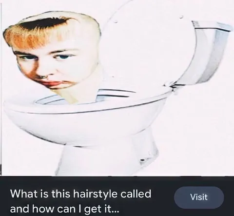 What Is This Hairstyle Called