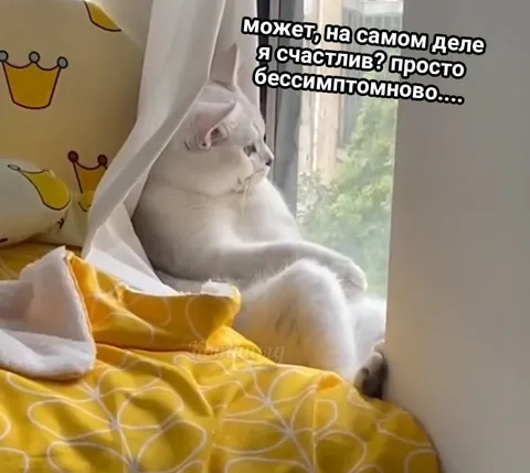 Счастлив, но бессимптомно
