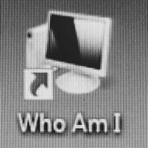 Who Am I Mystery Image