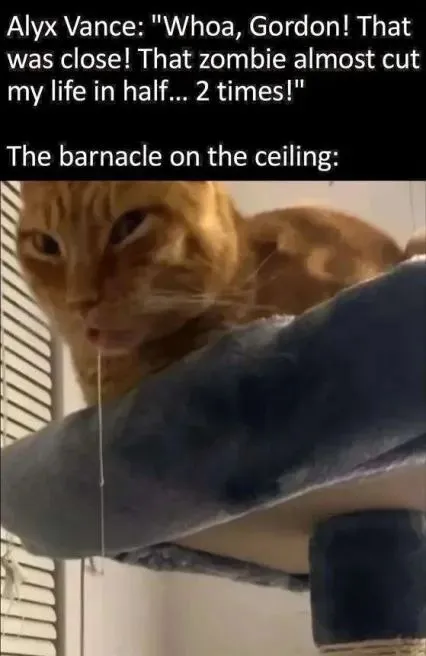 The Barnacle on the Ceiling