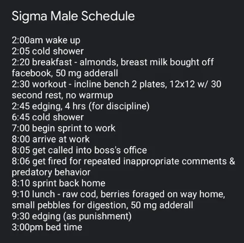 Sigma Male Schedule
