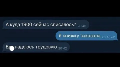 Надеюсь, трудовую книжку