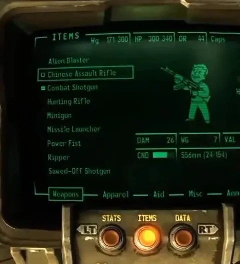 Fallout Death With Sad Cat