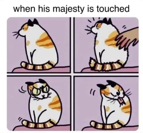 When His Majesty Is Touched