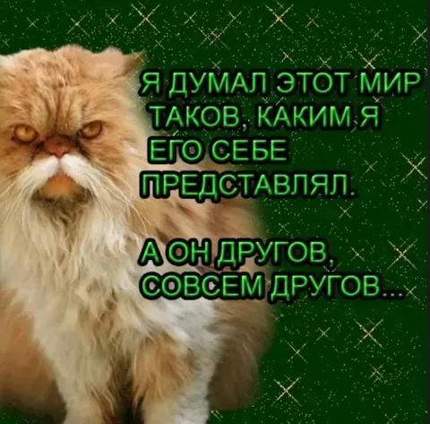 Мир оказался совсем другим