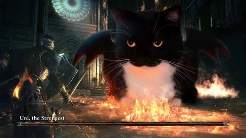 Uni the Strongest Cat Boss