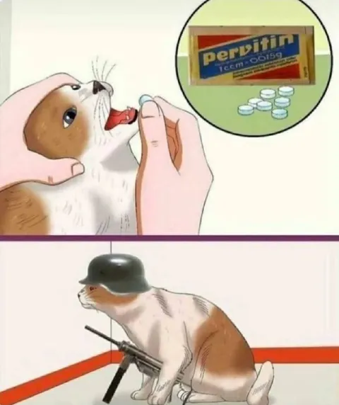 Cat Takes Pervitin