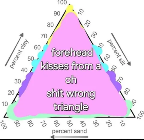 Forehead Kisses Wrong Triangle