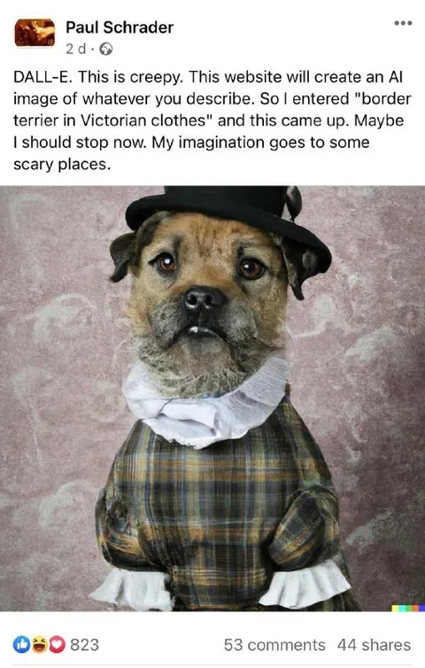 Border Terrier in Victorian Clothes