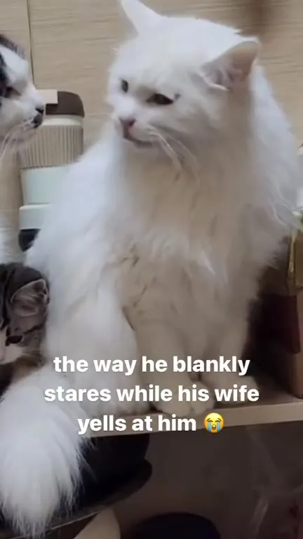 Blankly Staring While She Yells