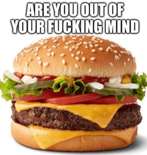 Are You Out of Your Fucking Mind