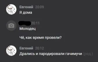 Дрались и пародировали гачимучи