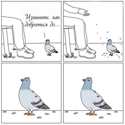 Извините, как добраться до…