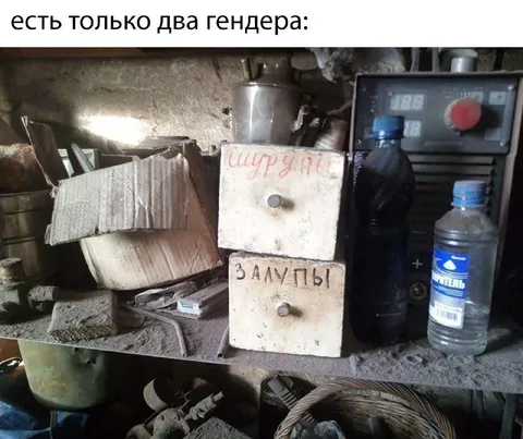 Есть только два гендера