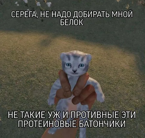 Серега и протеиновые батончики