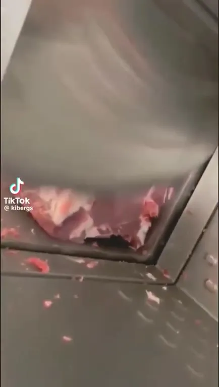 Мясо превращается в музыку