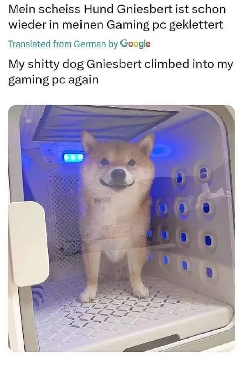 G niesbert im Gaming-PC