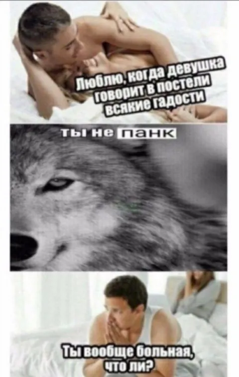 Ты не панк — всякие гадости