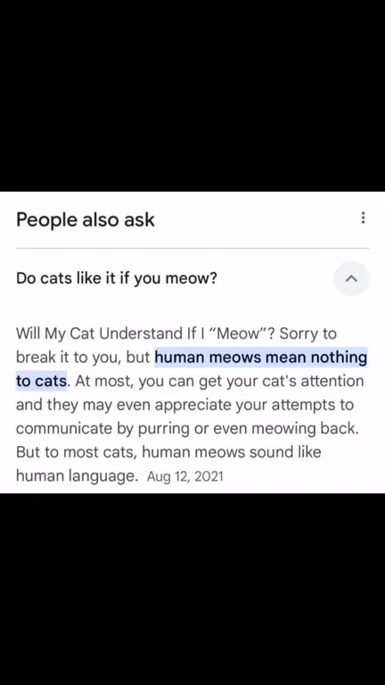 Human Meows Mean Nothing