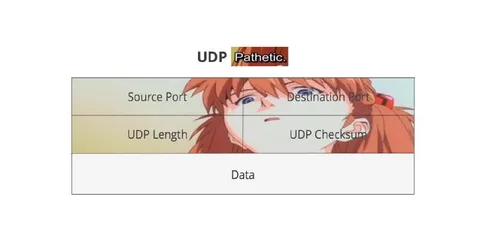 UDP Pathetic Packet Format