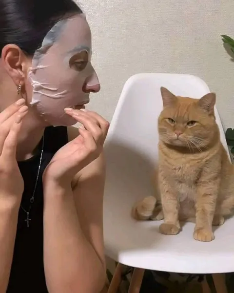 Кот оценивает маску