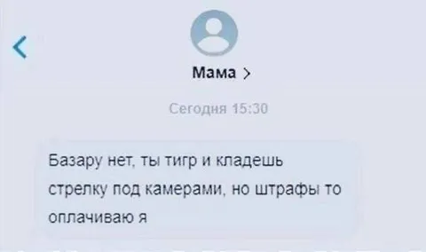 Тигр и кладыш вместо базара