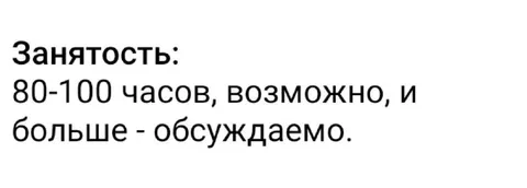Занятость на 80–100 часов