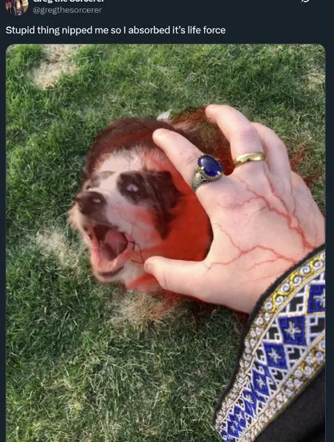 Absorbed Its Life Force