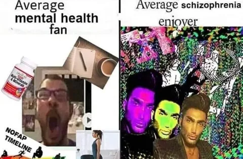 Average Mental Health Fan vs Schizophrenia Enjoyer