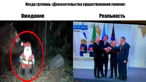 Доказательства существования гномов