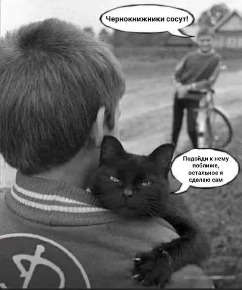 Чернокнижники сосут
