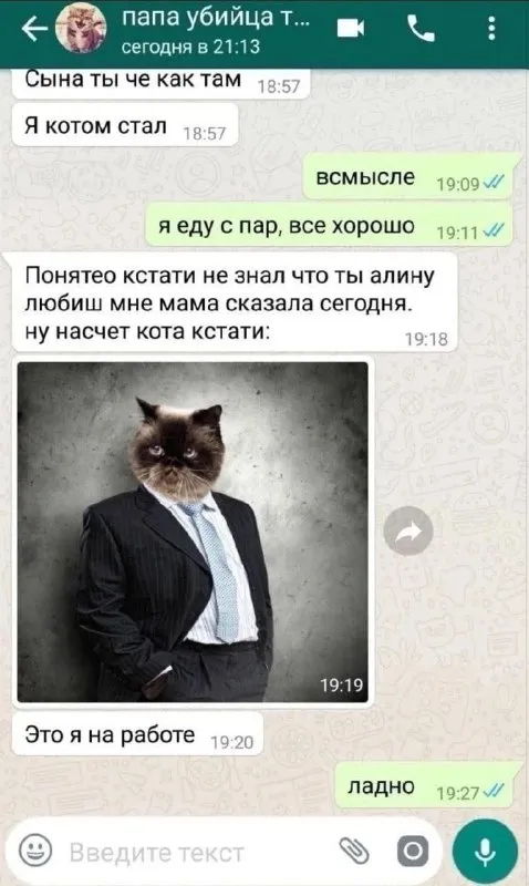 Кот в костюме на работе