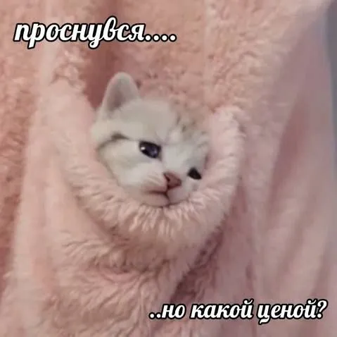 Проснуться, но какой ценой