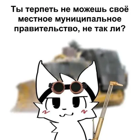 Местное муниципальное правительство