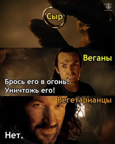 Сыр, веганы и вегетарианцы