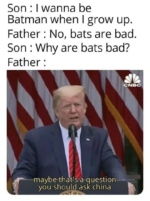 Ask China About Bats