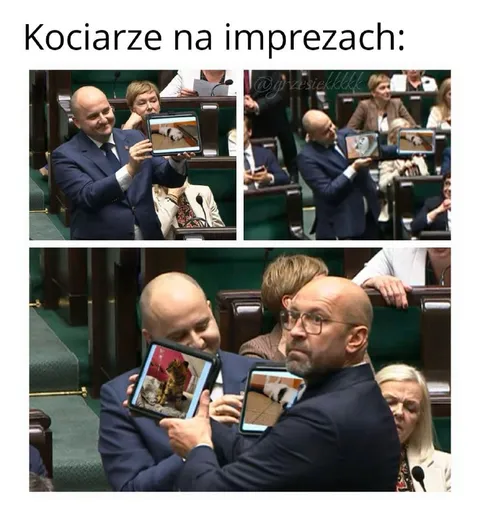 Kociarze na imprezach