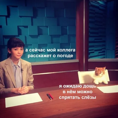 Коллега расскажет о погоде